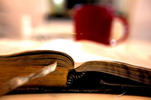 bible study image